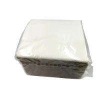 Case  2ply White Napkins (2000)