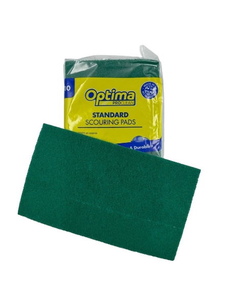 Green Scourers (10)